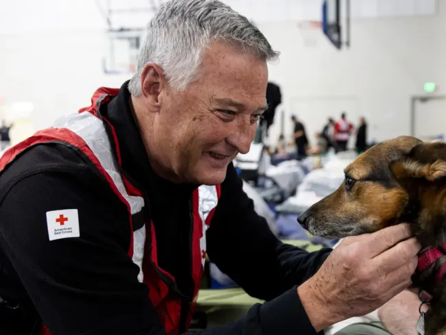 A red cross representative comforts a dog during a natural disaster