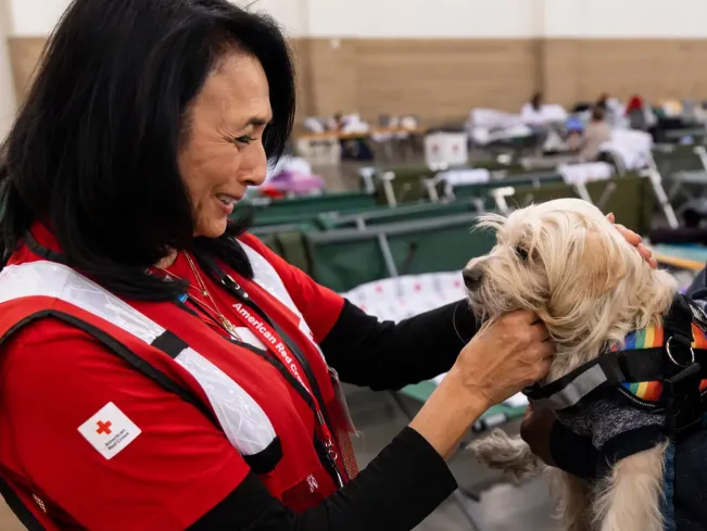 Red Cross volunteer greets a dog impacted by a natural disaster